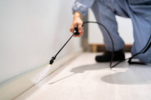 Licensed Rodent Control service in Chelsea Cove, NY - Nex Pest Control